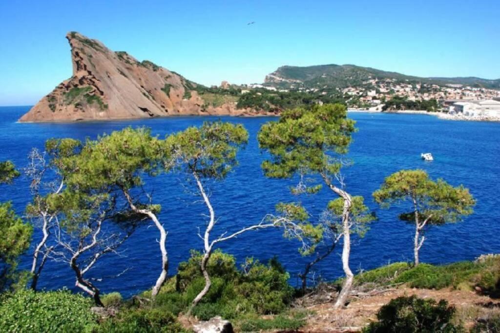 L'Oree De La Plage: Appt. Tout Confort 4/6 Pers. 400 M De La Plage La Ciotat Exteriör bild